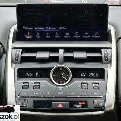 Lexus NX 300 GPF Elegance AWD