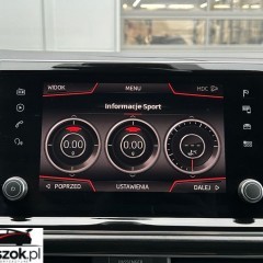 Seat Tarraco 2.0 Eco TSI Xcellence S&S 4Drive DSG