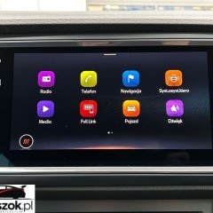 Cupra Ateca 2.0 TSI 4Drive VZ DSG