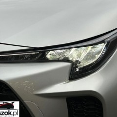 Suzuki Swace