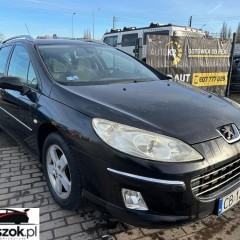 Peugeot 407 SW 125 Tendance