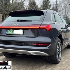 Audi e-tron 50 quattro advanced