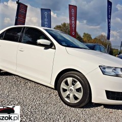 Skoda RAPID 1.6 TDI DPF Active
