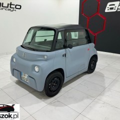 Citroën Inny