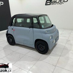 Citroën Inny