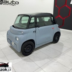 Citroën Inny