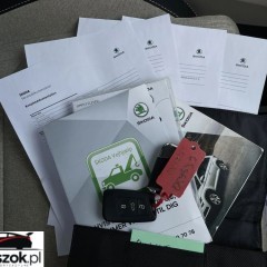 Skoda Kodiaq 2.0 TDI 4x2 Style DSG