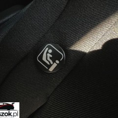 Ford S-Max 2.0 EcoBlue Trend