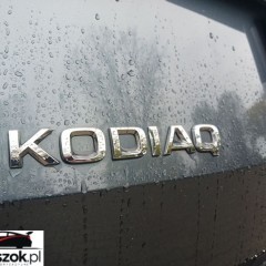 Skoda Kodiaq 2.0 TSI 4x4 Ambition DSG