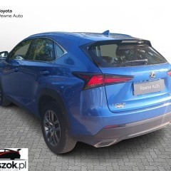 Lexus NX 300 Elegance Optimum AWD