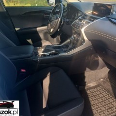 Lexus NX 300 Elegance Optimum AWD