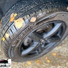 Ford Kuga 1.5 TDCi FWD Trend