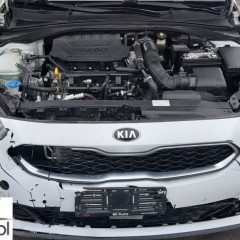 Kia ProCeed ProCeed 1.5 T-GDI DCT7 OPF GT LINE