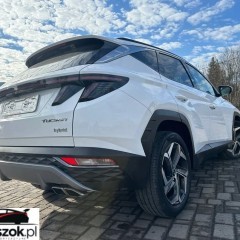 Hyundai Tucson 1.6 T-GDi 48V Executive 4WD DCT