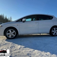 Seat Leon 1.9 TDI DPF Vorbereitung Reference