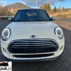 MINI ONE D