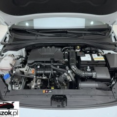 Kia Ceed 1.0 T-GDI S