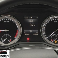 Skoda Superb 2.0 TDI SCR Style DSG
