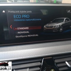 BMW Seria 5 530d M Sport sport