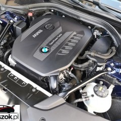 BMW Seria 5 530d M Sport sport