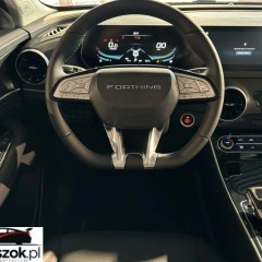 Forthing T5 EVO