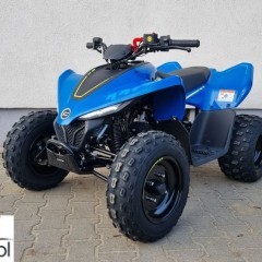 CFMoto Inny