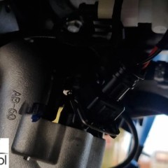 CFMoto Inny