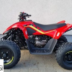 CFMoto Inny