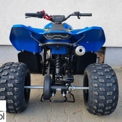 CFMoto Inny
