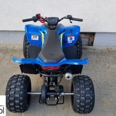CFMoto Inny
