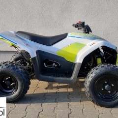 CFMoto Inny