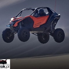 CFMoto Inny