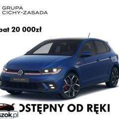 Volkswagen Polo 2.0 TSI GTI DSG
