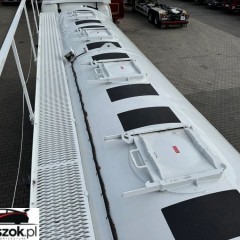 Volvo FH540 8x2 EURO6 SILO Lindner Fischer Pellets 35000 L