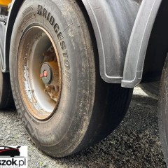 Schmitz Cargobull 2017