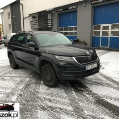 Skoda Kodiaq 2.0 TSI 4x4 Business DSG