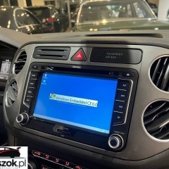 Volkswagen Tiguan 2.0 TSI 4Mot Sport DSG