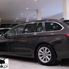 BMW Seria 5 518d Luxury Line