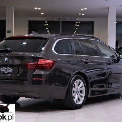 BMW Seria 5 518d Luxury Line