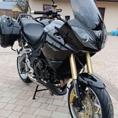 Triumph Tiger