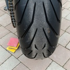 Triumph Tiger