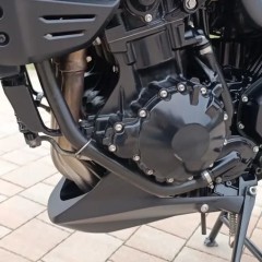 Triumph Tiger