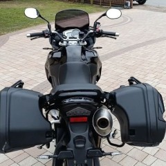 Triumph Tiger