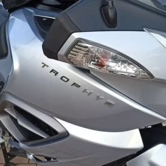 Triumph Trophy