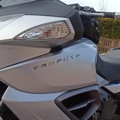 Triumph Trophy