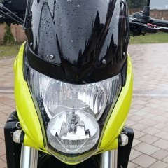 Honda Hornet