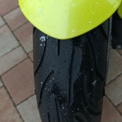Honda Hornet
