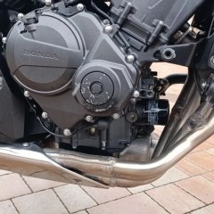 Honda Hornet