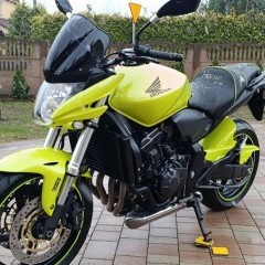 Honda Hornet