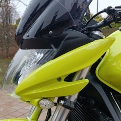 Honda Hornet